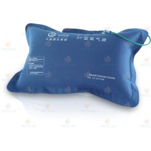 Сумка (подушка) киснева 30 л